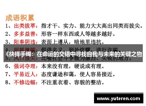 《抉择手镯：在命运的交错中寻找自我与未来的关键之物》