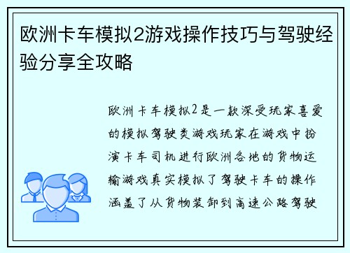 欧洲卡车模拟2游戏操作技巧与驾驶经验分享全攻略